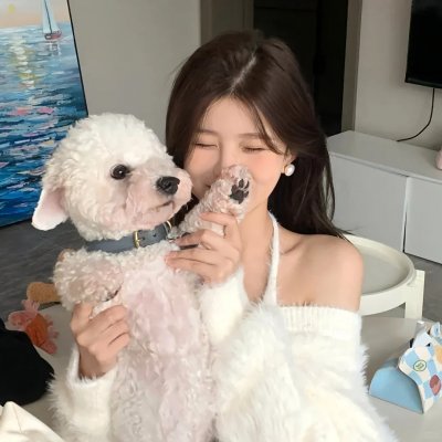 信号 海报